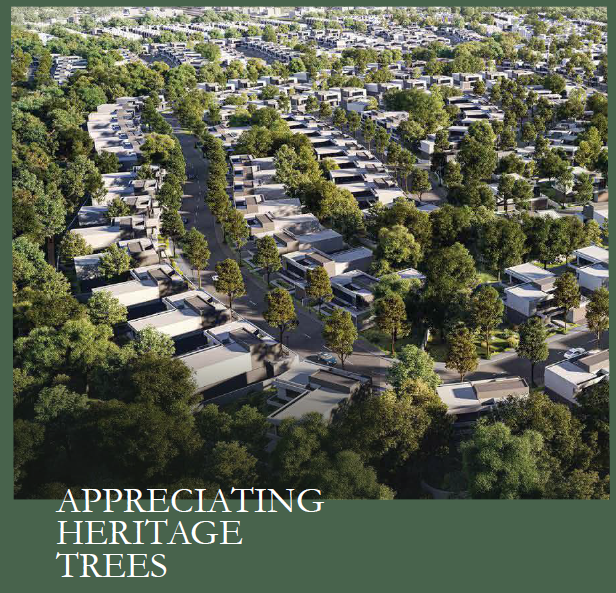 countrywoods residence jual rumah dekat mrt lebak bulus